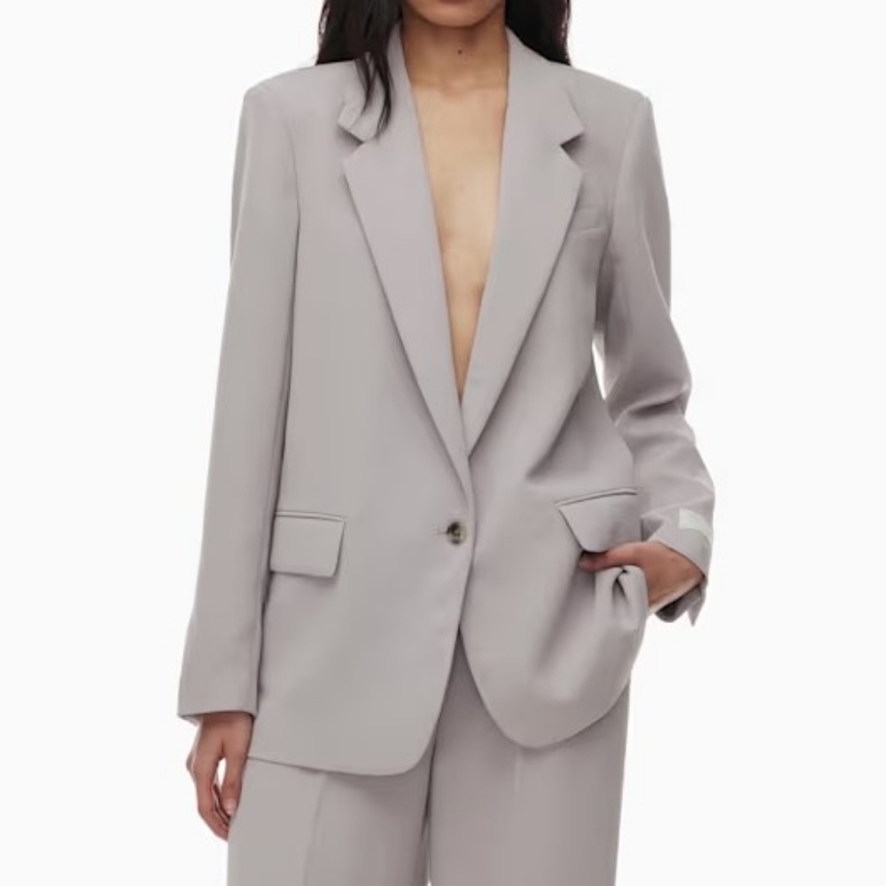 Aritzia Wilfred Generation Blazer Crepette - Ashen (Dusty Mauve), Size 2XS